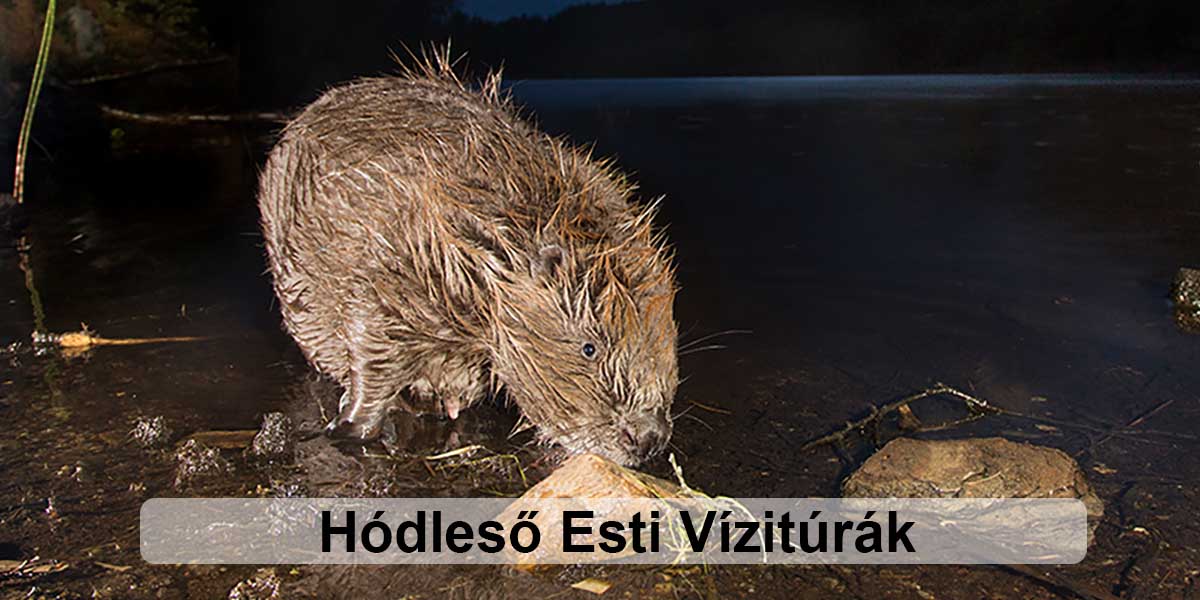 Hódleső Vízitúra
