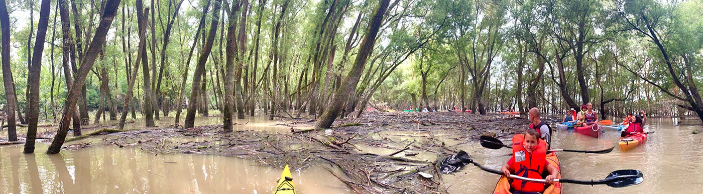 Ártéri galériaerdős kajak túra