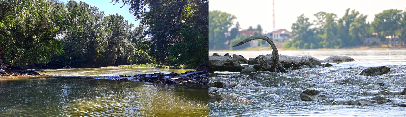 Neszmélyi sziget kajak kenu sup túra